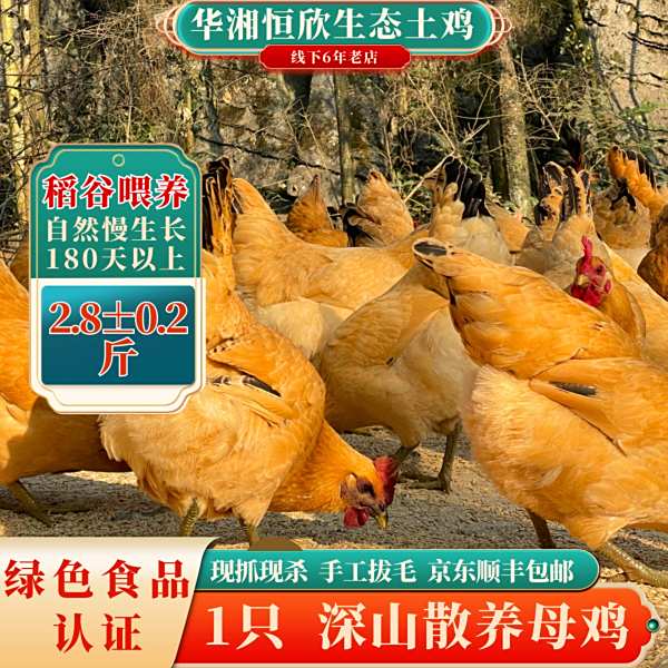 毛鸡重量2.6-3.0斤/只，外地现杀真空冷链包邮
