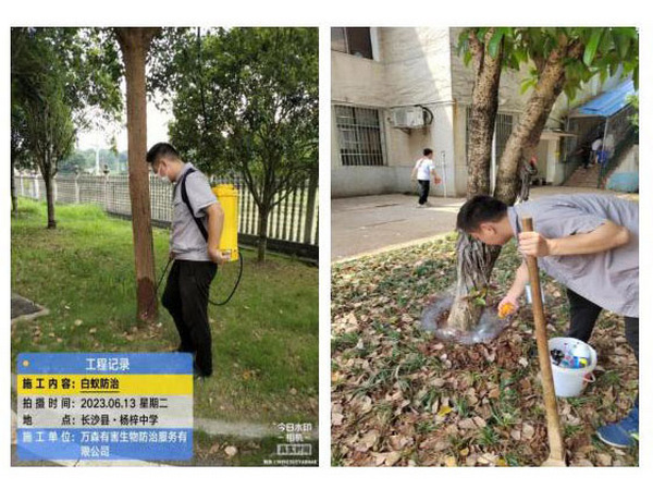 长沙县公办学校