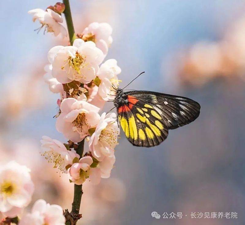 图片 11
