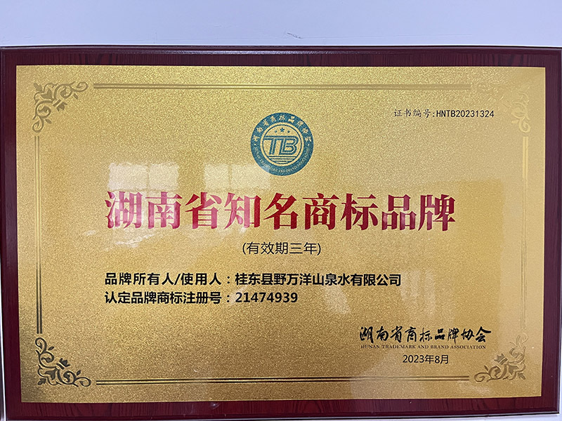 湖南省知名商标品牌 (2)