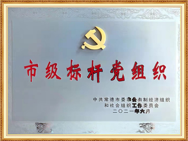 市級標(biāo)桿黨組織2021.06