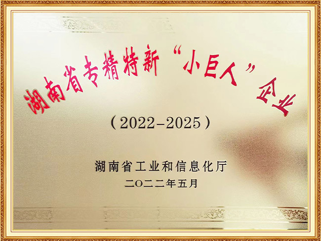 湖南小巨人（2022-2025）