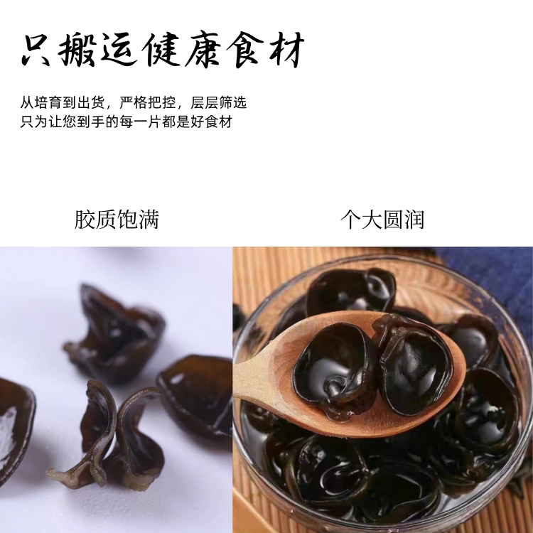 细云耳-9