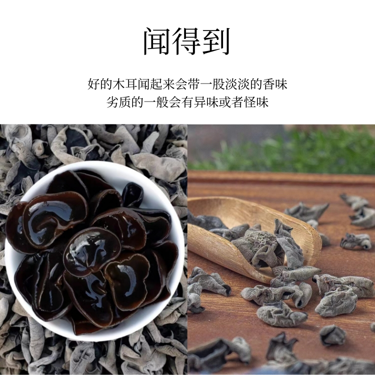 细云耳-11