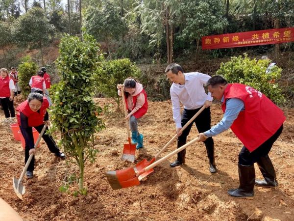 栽种新绿，共植希望----雷竞技官网携手维汉中学开展植树活动