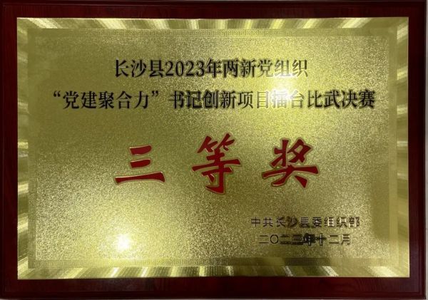 喜报|我司荣获长沙县“党建聚合力  书记创新项目”擂台比武三等奖