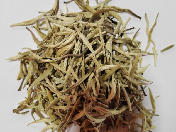 株洲咖力神咖啡有限公司：云南茶叶采摘与加工，传统艺术的现代传承