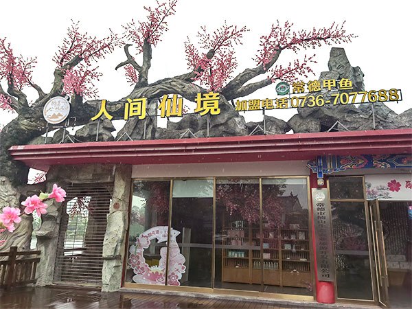 分公司