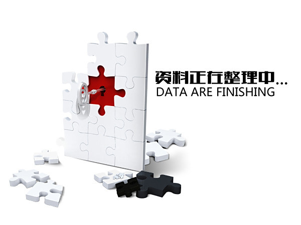 定制燃气壁炉