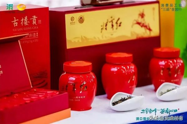 云雾雪峰茶香洞口洞口雪峰茶高质量发展推介会在邵阳洞口举行 (