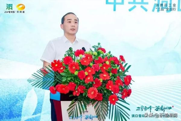 云雾雪峰茶香洞口洞口雪峰茶高质量发展推介会在邵阳洞口举行 (
