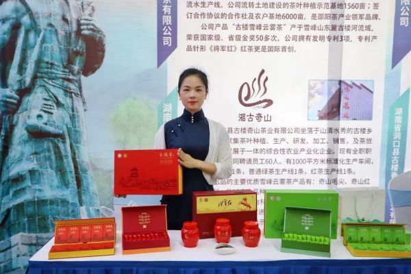 茶讯  “洞口雪峰茶”高质量发展推介会成功举行 (15)