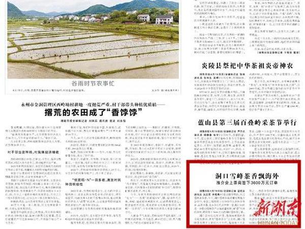 洞口雪峰茶香飘海外 推介会上茶商签下3600万元订单丨湖南日报