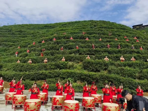 茶讯  “洞口雪峰茶”高质量发展推介会成功举行 (18)
