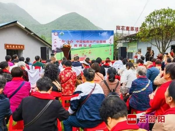 “邵阳红”中亚福鹿谷产业基地揭牌仪式在城步举行