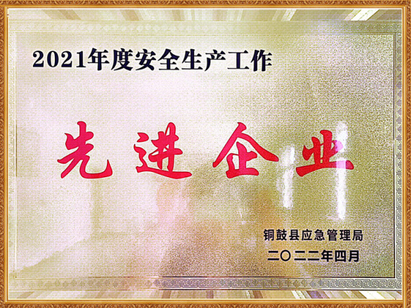 2021年先进企业