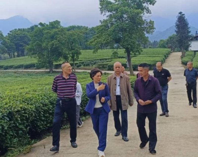 图片 2