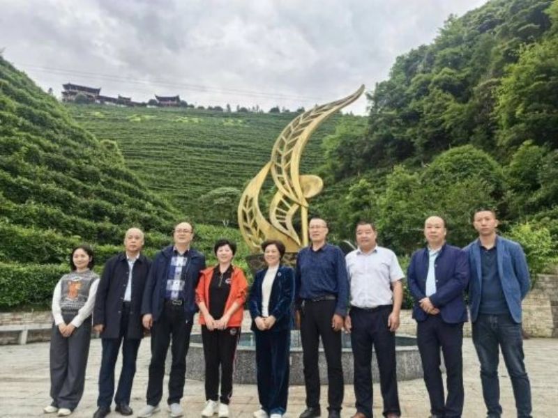 图片 16