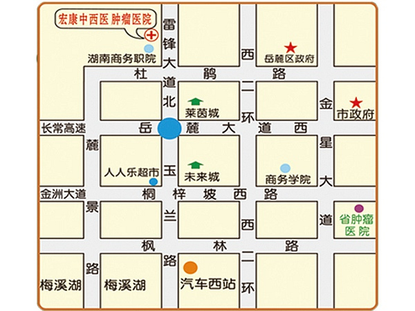 地图