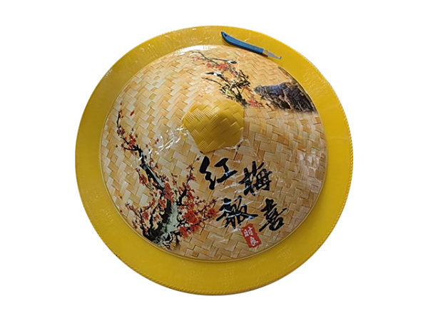 65贴花斗笠