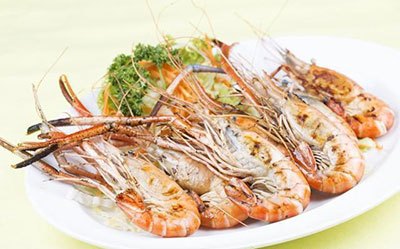 月亮河生物科技甲鱼,月亮河生物科技蛙,月亮河生物科技虾,月亮河生物科技小龙虾,湖南月亮河生物科技有限公司