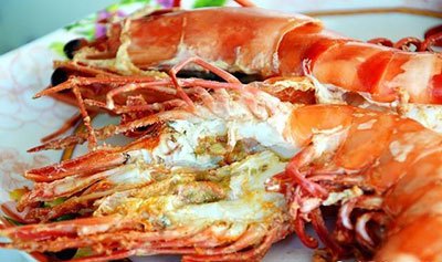 月亮河生物科技甲鱼,月亮河生物科技蛙,月亮河生物科技虾,月亮河生物科技小龙虾,湖南月亮河生物科技有限公司