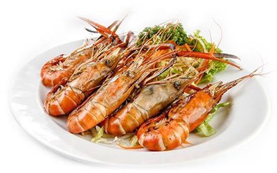 月亮河生物科技甲鱼,月亮河生物科技蛙,月亮河生物科技虾,月亮河生物科技小龙虾,湖南月亮河生物科技有限公司