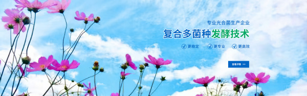 《自然》杂志|沈建忠院士团队揭示近50年动物源细菌耐药性变迁和演化特征