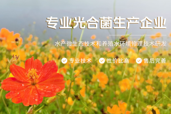 各地积极推进水产用药减量行动