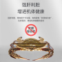 速效偷死停