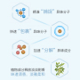 铂卡希®（生物发酵垫料）