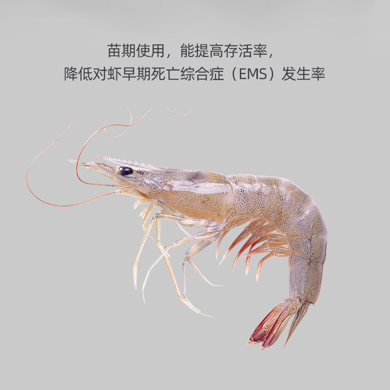 速效偷死停