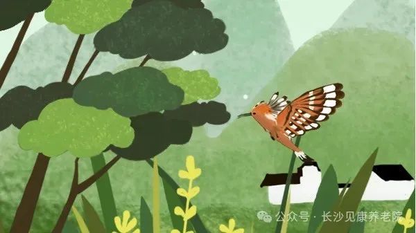 图片 11