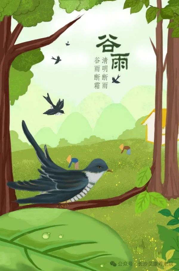 图片 8