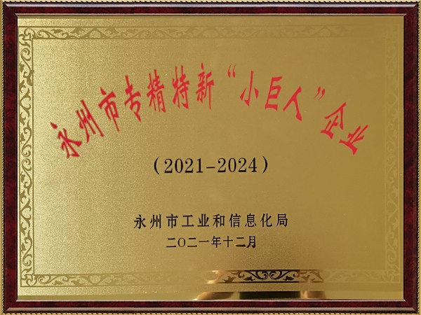 永州市小巨人企业牌匾