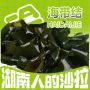 海带结
