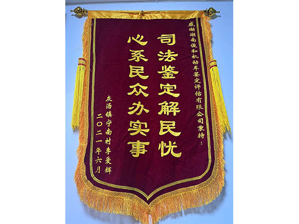 灰汤镇宁南村李爱辉-锦旗