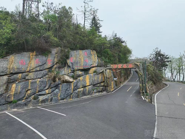 黑麋峰星空茶园