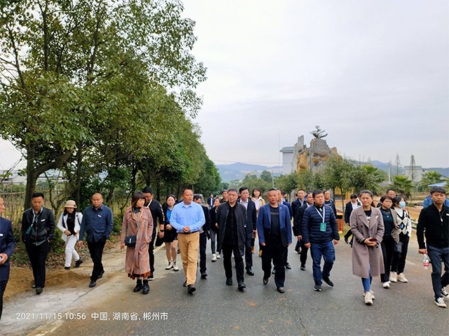 案例风采 (15)