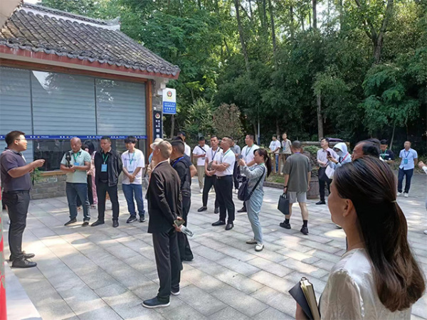 案例风采