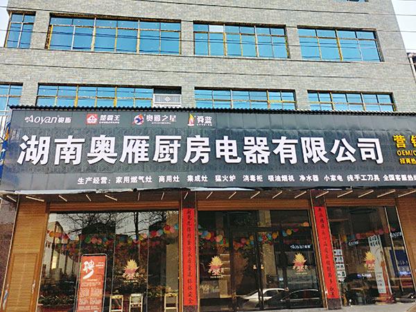 湖南奥雁厨房电器有限公司