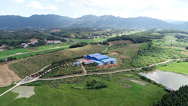 基地展示