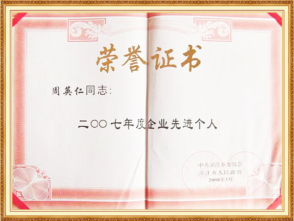 企业先进个人