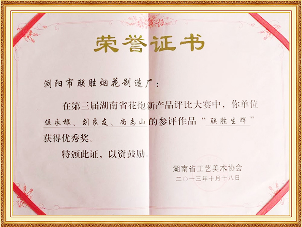 联盛生辉优秀奖