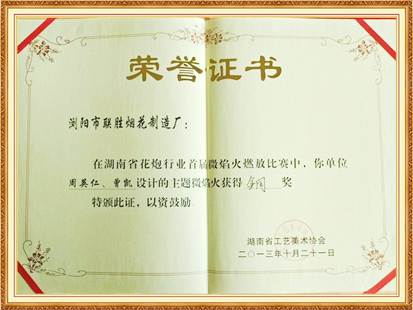 首届微焰火燃放比赛获得铜奖