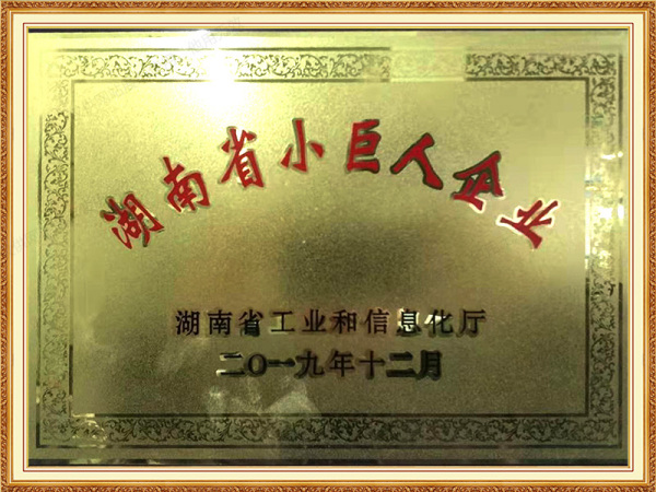 2019年12月获得湖南省小巨人企业称号
