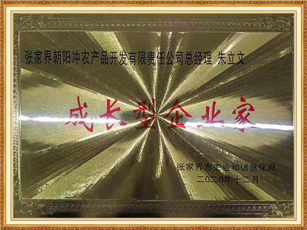 2020年12月获得成长型企业家