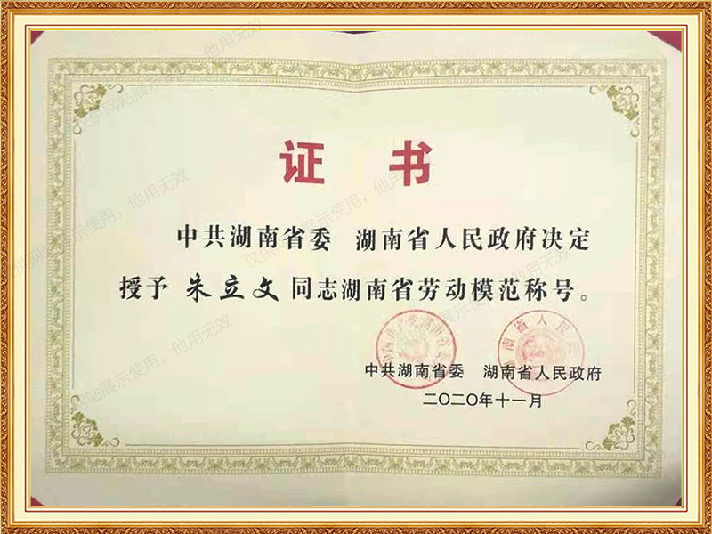 2020年11月获得湖南省劳动模范称号