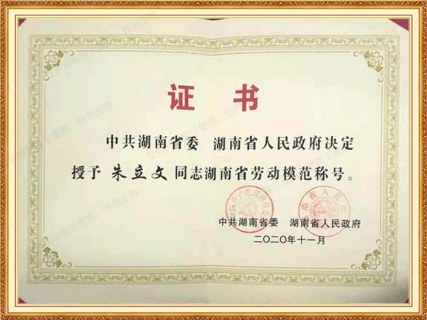 2020年11月获得湖南省劳动模范称号