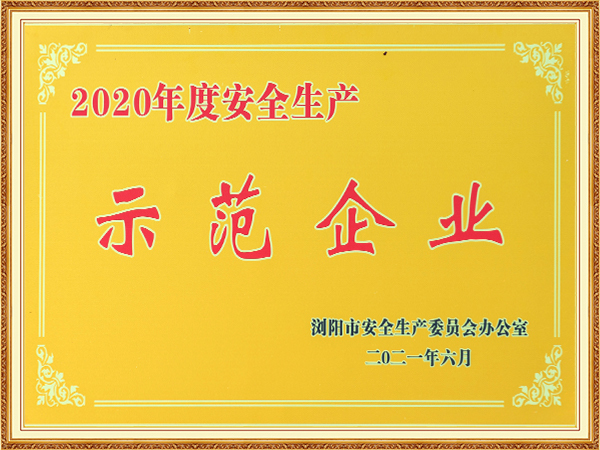 2020年度安全生产示范企业